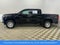 2023 Chevrolet Colorado Work Truck